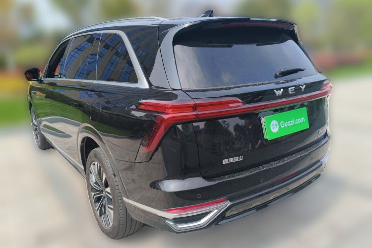 Used Wey Lanshan 2023 Four-Wheel Drive Ultra-Long Range Version Rear Left 45 Deg