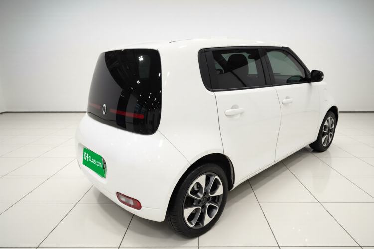 Used ORA White Cat 2020 401 km Flagship Version Exterior 5