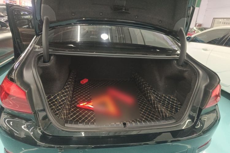 Used BMW 5 Series 2020 530Li Leading Edition Luxury Package
