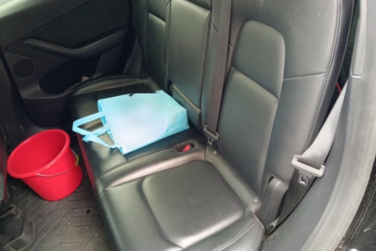 Used Tesla Model Y 2021 Standard Range Rear-Wheel Drive Version Left Rear Seat