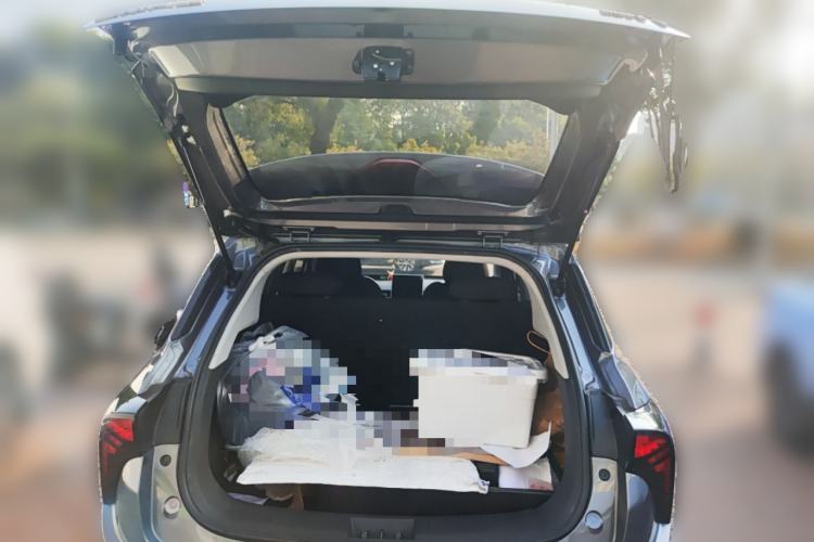 Used NETA V 2021 Standard Range Entertainment Edition
