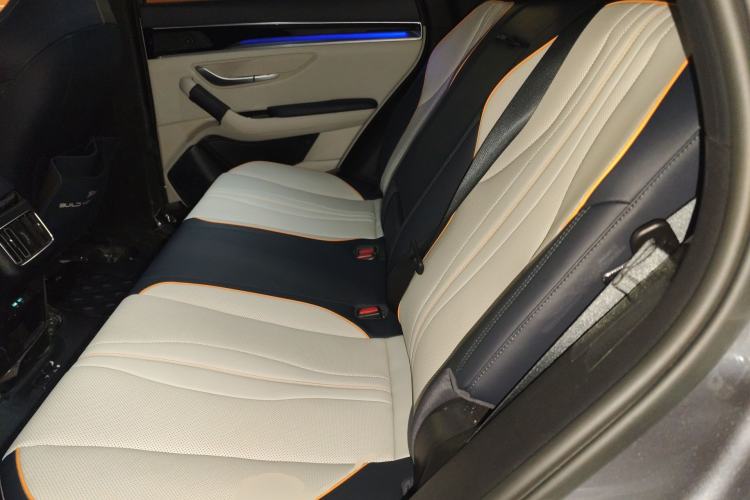 Used BYD Song PLUS New Energy 2021 DM-i 110KM Flagship PLUS Left Rear Seat