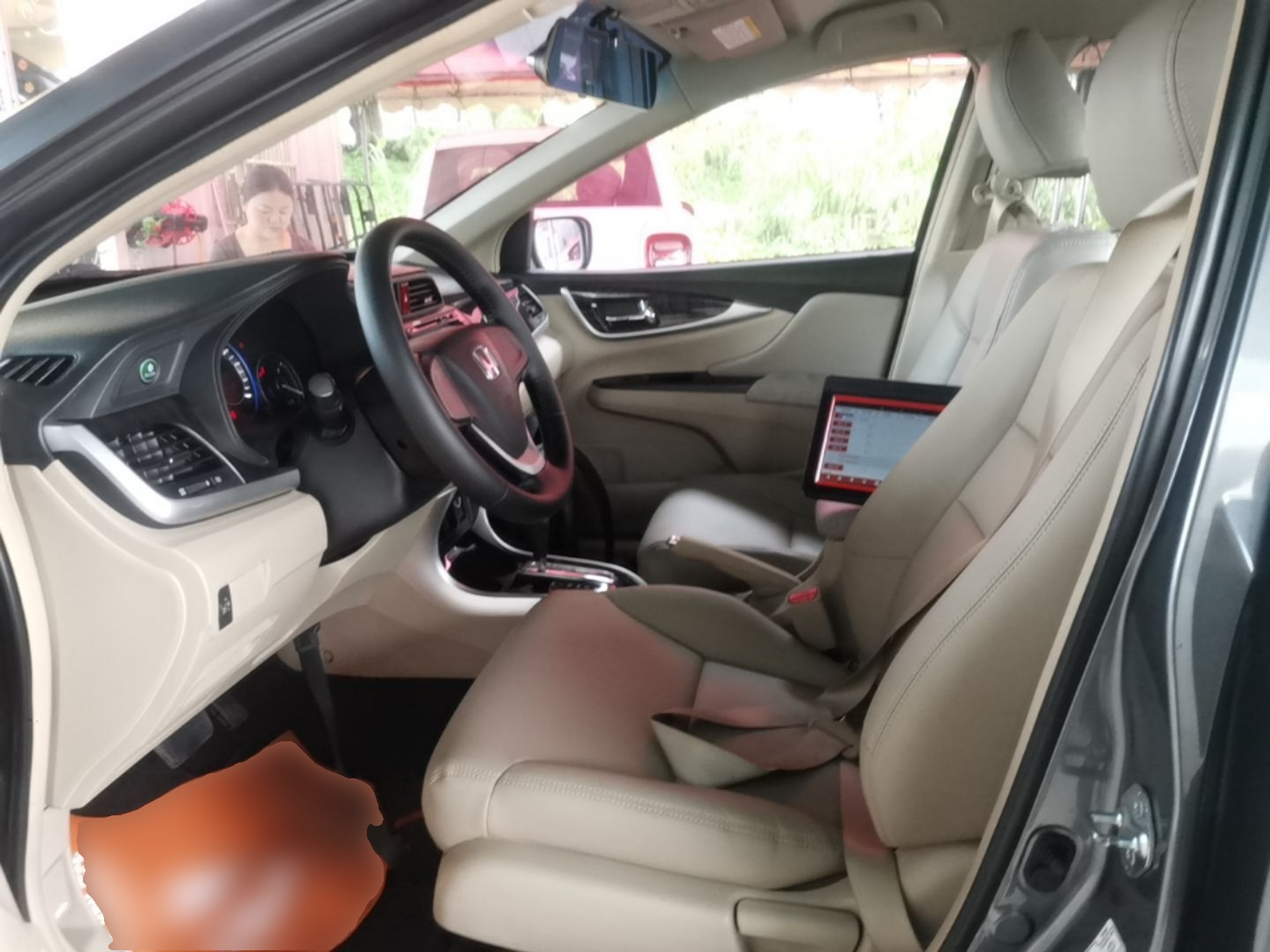 Interior delantero