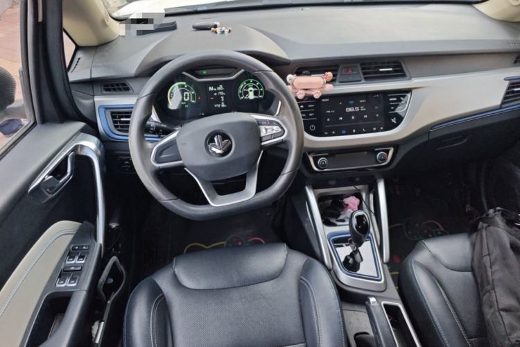 Used Livan Maple 30X 2020 Style Edition
