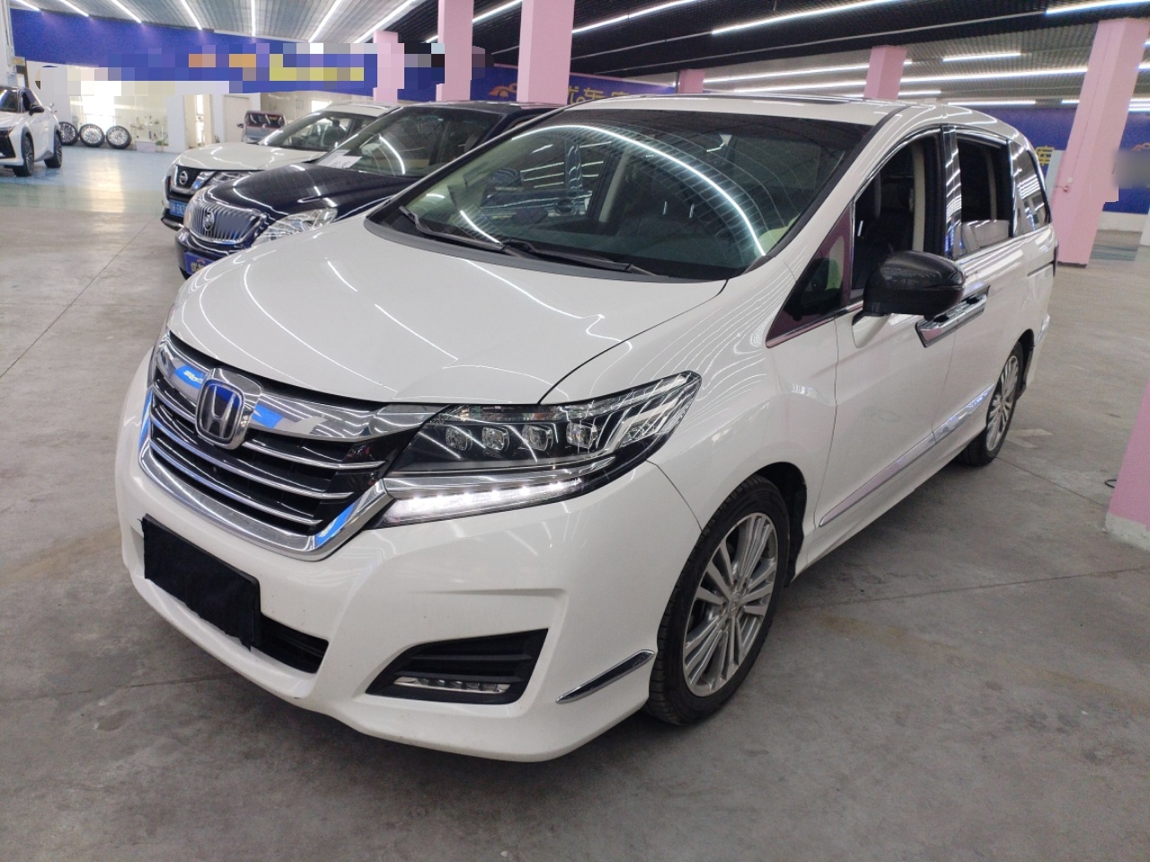 Parte inferior delantera