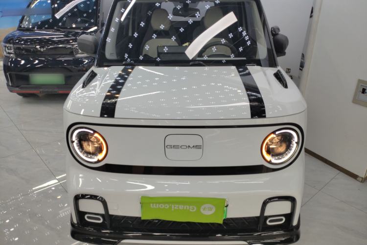 Used Geely Galaxy Panda 2024 200km Panda Kart
