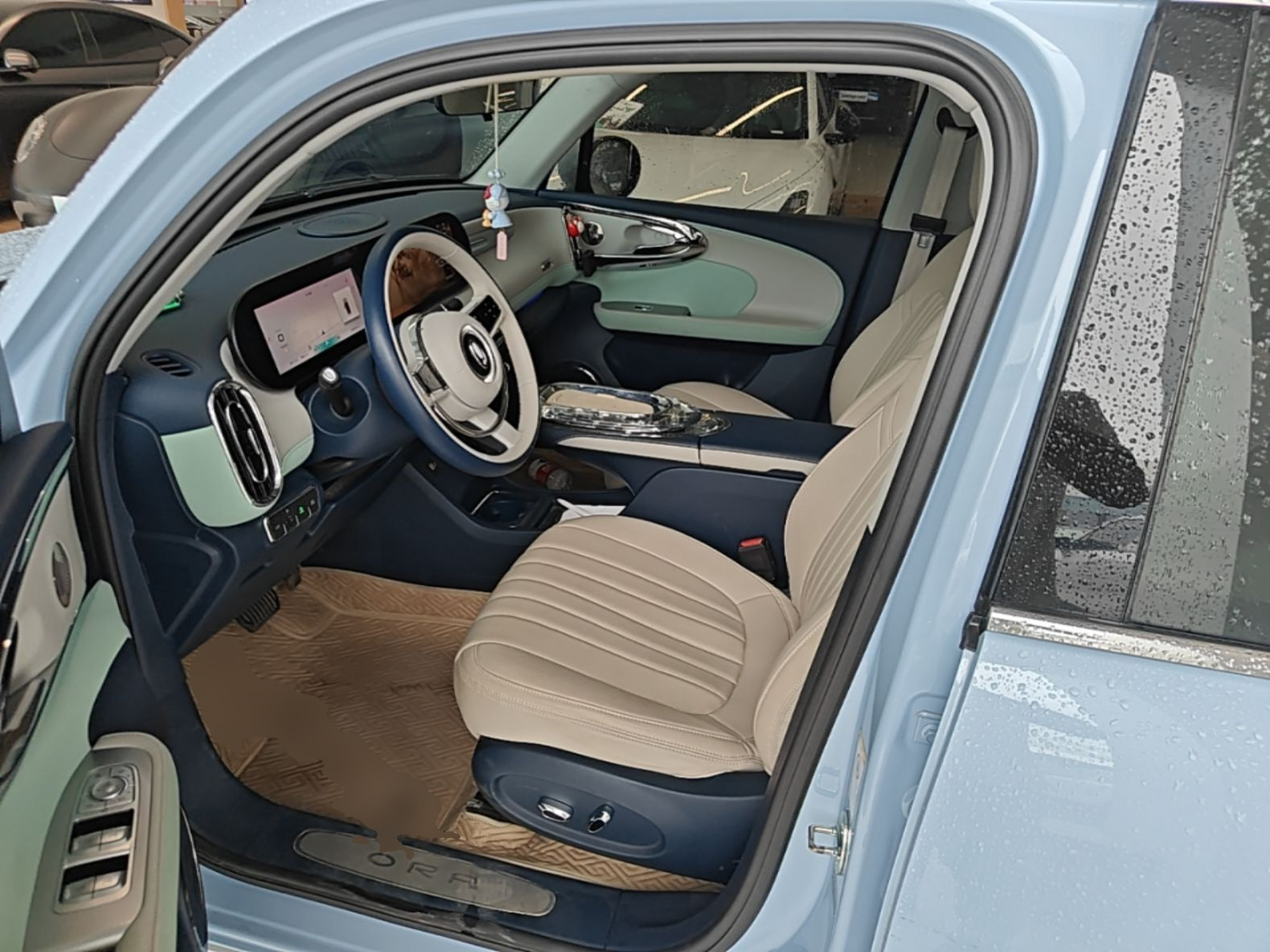 Interior delantero