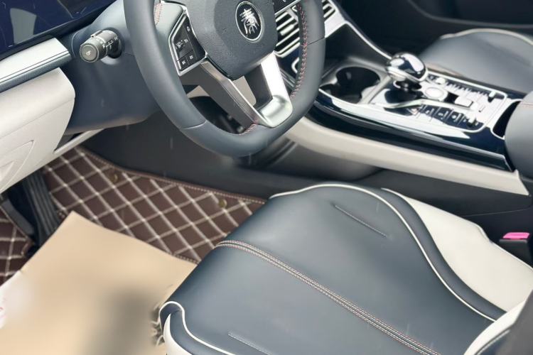 Used BYD Qin PLUS 2021 DM-i 55KM Flagship Model Interior 2