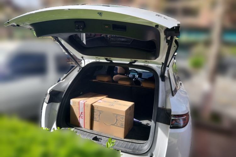 Used BYD Song L DM-i 2024 112 km Leading Edition Trunk