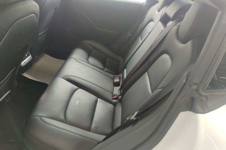 Used Tesla Model 3 2019 Long-Range Rear-Wheel-Drive Version Left Rear Seat