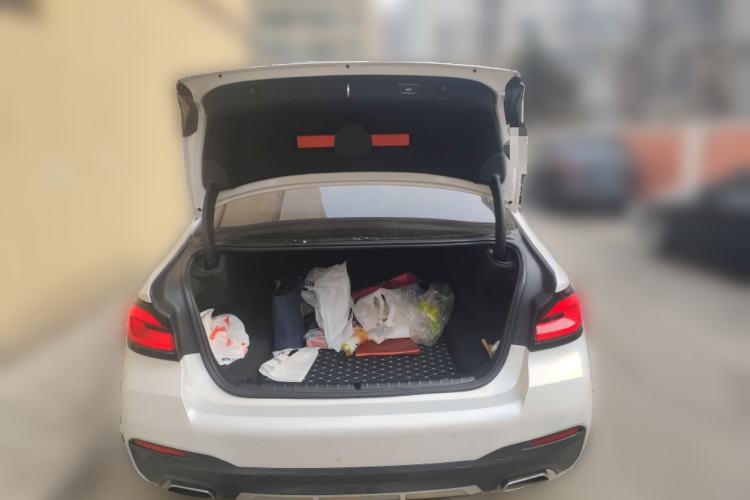 Used BMW 5 Series 2021 530Li xDrive M Sport Package