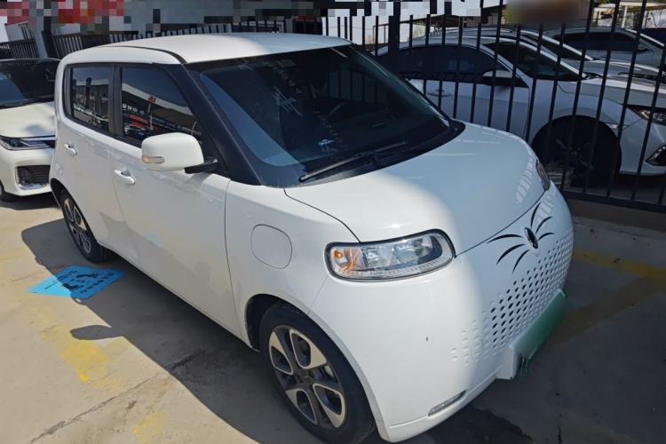 Used ORA White Cat 2020 305 km Luxury Version