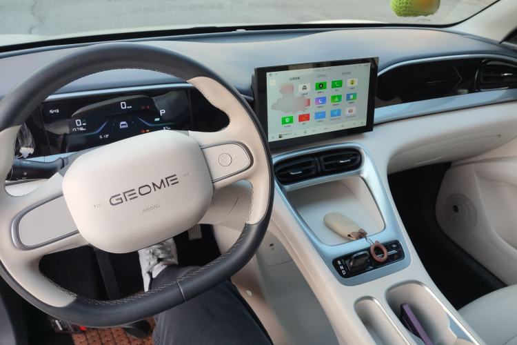 Used Geely Galaxy Geome 2025 310km Youth Edition