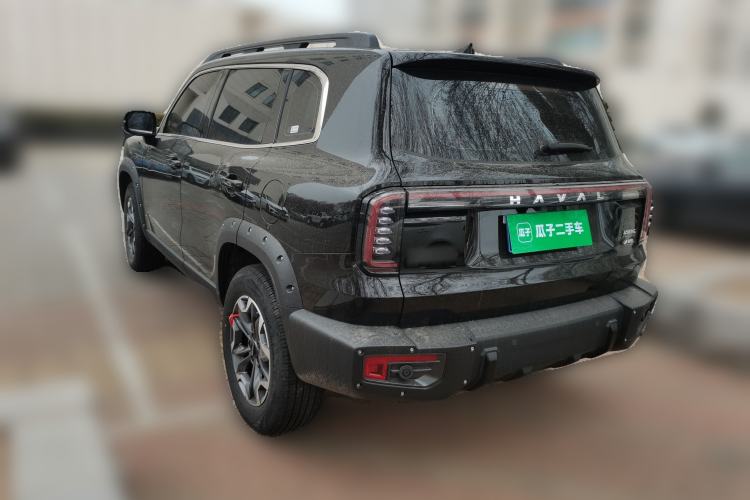 Used Haval DARGO 2024 2.0T DCT Chinese Rural Dog Edition
