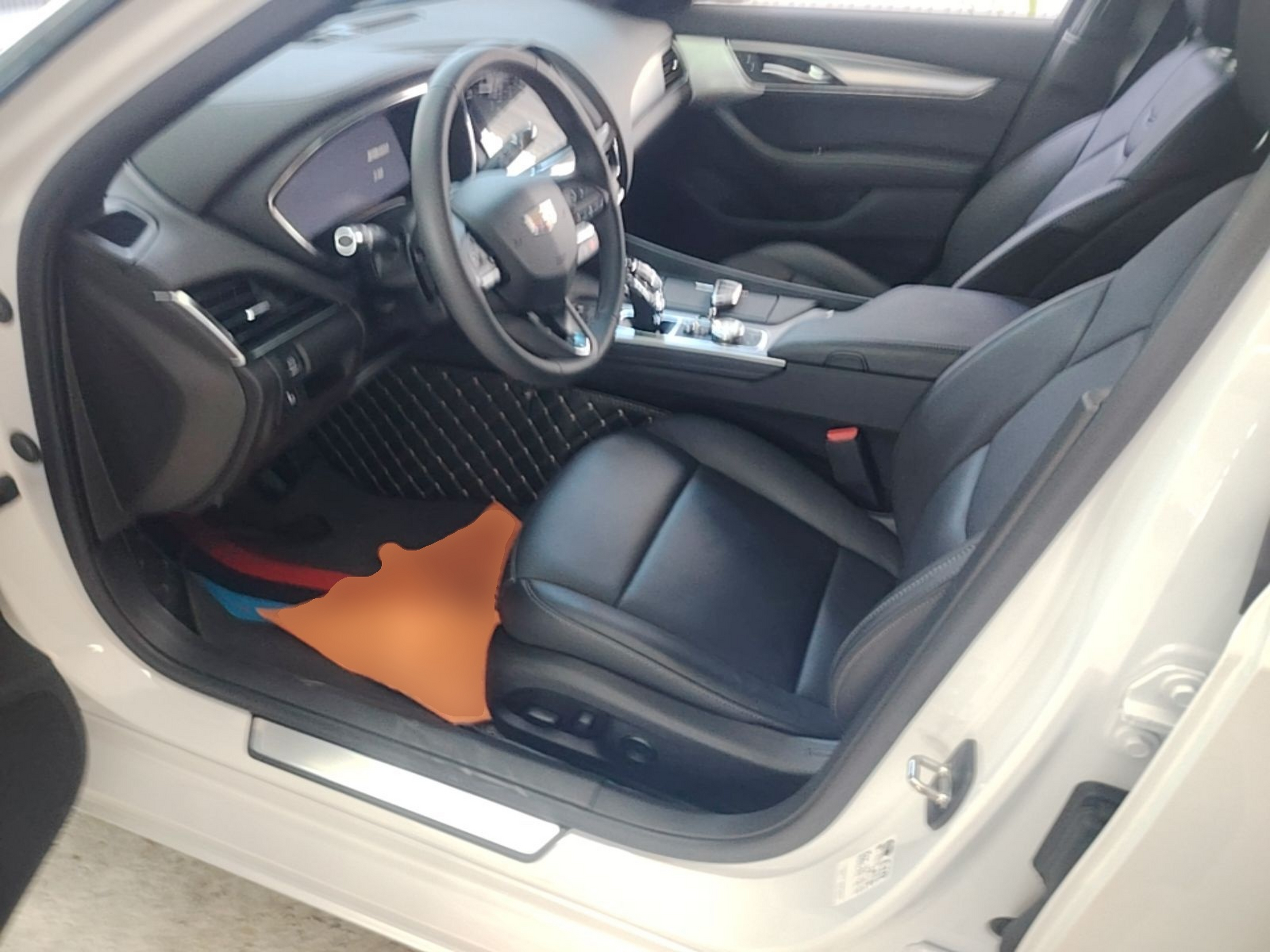 Interior delantero