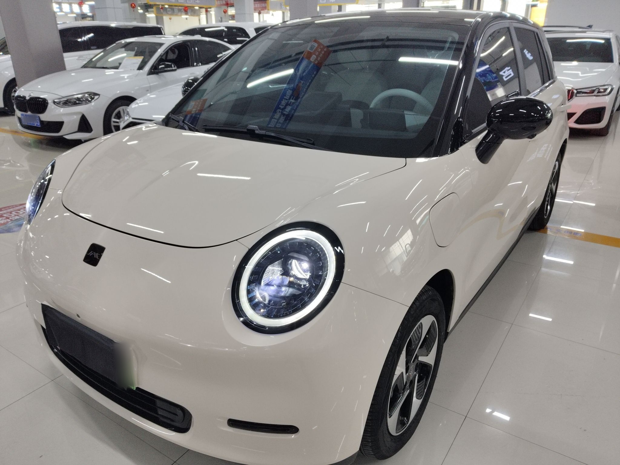 Parte inferior delantera