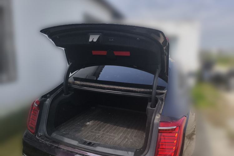 Used Hongqi H9 2020 2.0T Smart Connect Flagship Edition Trunk