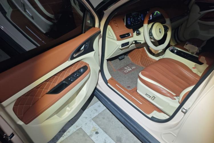 Used ORA Good Cat 2022 Morandi Edition 400km Standard Range Premium Version Lithium Iron Phosphate
