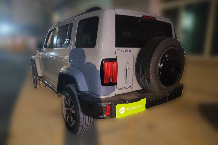 Used Tank 300 2023 City Edition 2.0T Essential Model