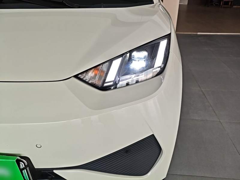 Used BYD Seagull 2025 Smart Drive Version 305 km Freedom Edition — 23