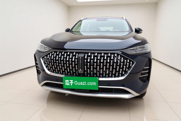 Used Wey Mocha 2021 2.0T Two-Wheel-Drive Premium Edition
