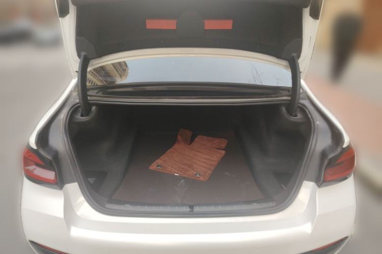 Used BMW 5 Series 2021 530Li Leading Model M Sport Package