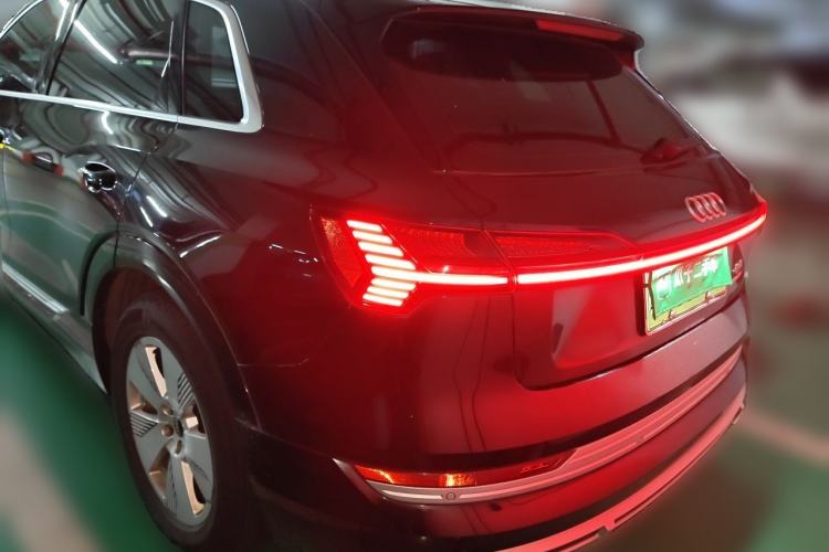 Used Audi e-tron 2021 50 quattro Luxury Edition Rear Left 45 Deg