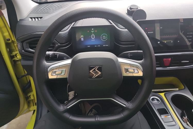 Used SOL E10X 2022 Flower Fairy Design Four-Leaf Clover
