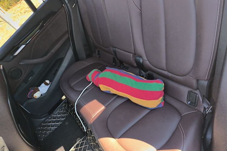 Used BMW X1 2020 sDrive20Li Fashion Model Left Rear Seat