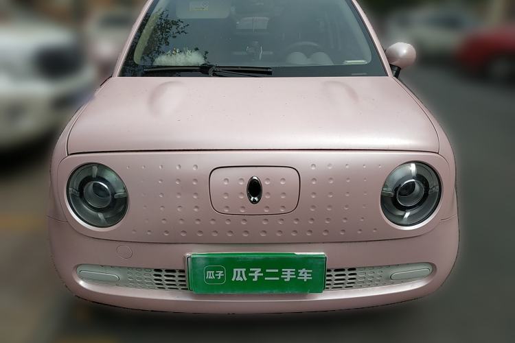 Used ORA Black Cat 2019 310km Fun Edition