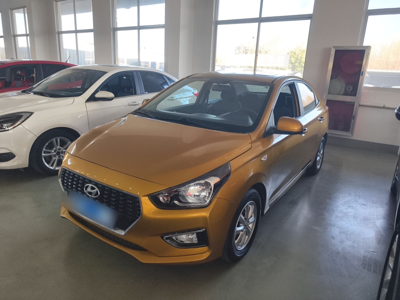 تحت مقدمة السيارة