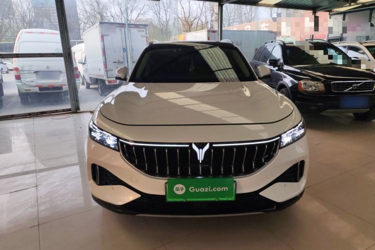 Used VOYAH FREE 2021 Four-Wheel Drive Standard Range-Extended Exclusive Luxury Package Front