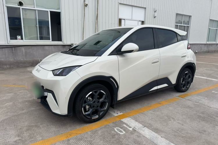 Used BYD Seagull 2025 305 km Free Version