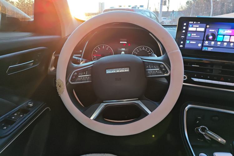 Used Haval H6 2023 National Trend Edition 1.5T Automatic Urban Version
