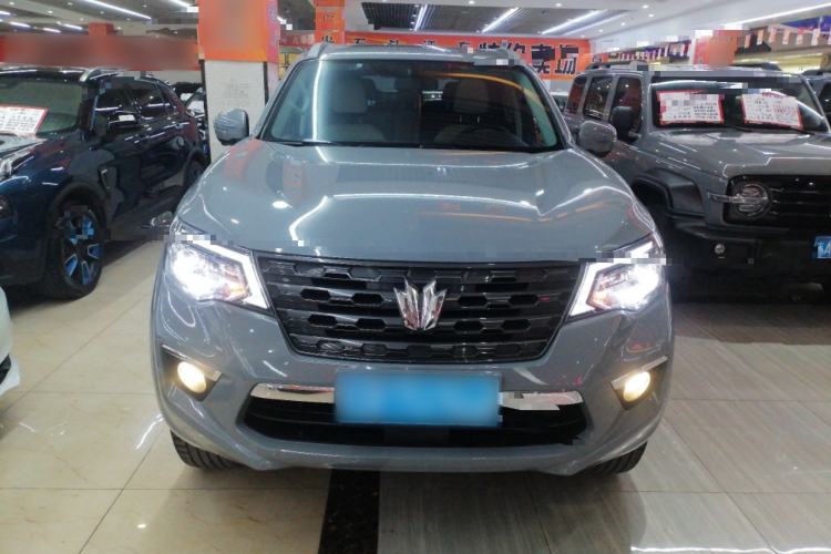 Used Dongfeng Fengdu Paladin 2023 2.0T Four-Wheel Drive Luxury Edition