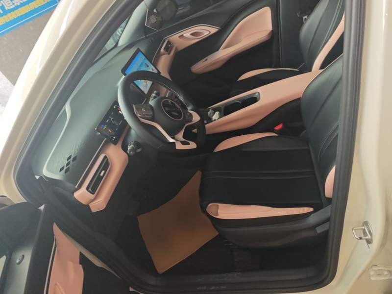 Used BYD Seagull 2024 Honor Edition 305km Freedom Version — 14