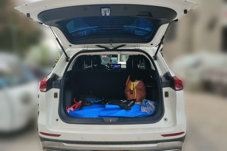 Used Haval H6 2021 National Trend Edition 1.5T Automatic Urban Version