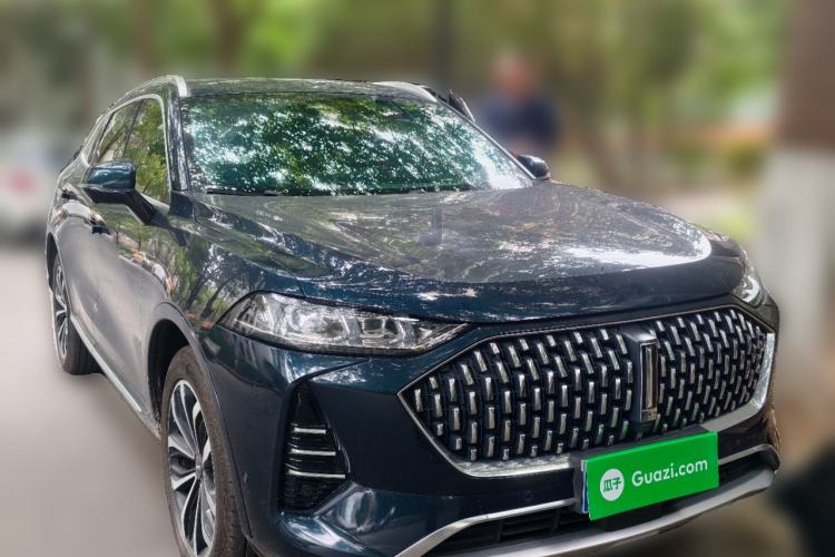 Used Wey Mocha 2021 2.0T Two-Wheel-Drive Premium Edition
