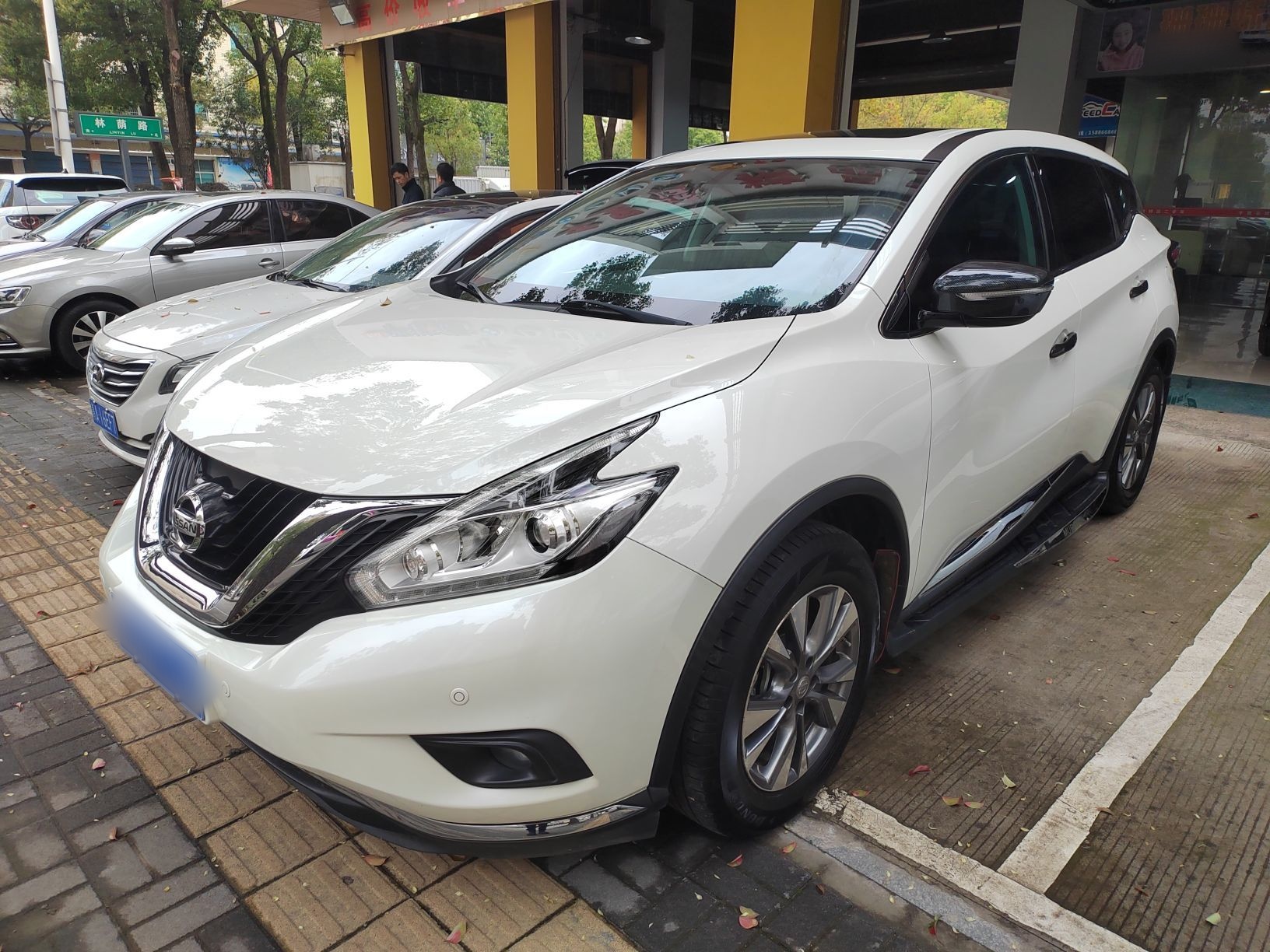 Parte inferior delantera