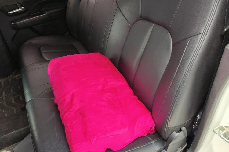 Used Great Wall Wingle 5 2017 2.4L European Version Gasoline Two-Wheel Drive Entry-Level Big Double Cab 4G69S4N Left Rear Seat