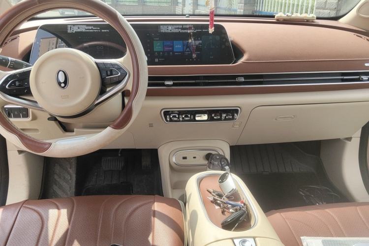 Used ORA Good Cat 2023 401 km Standard Range Luxury Version Lithium Iron Phosphate