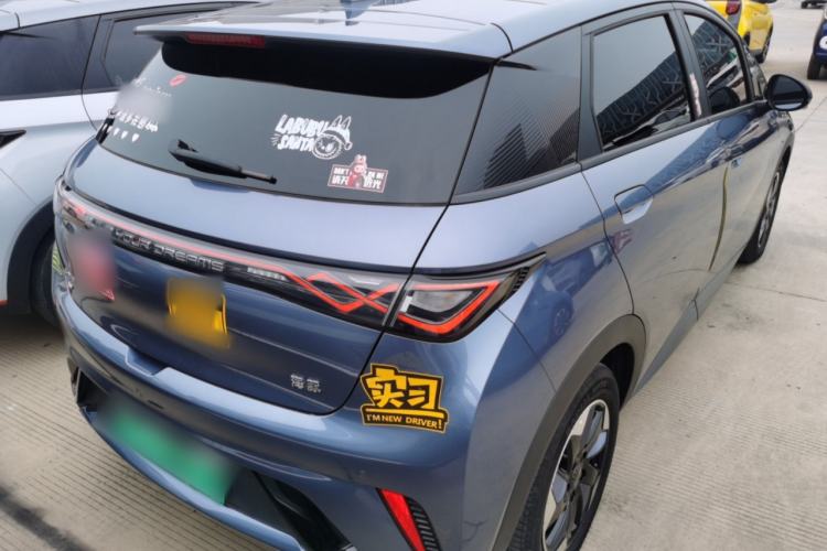 Used BYD Dolphin 2024 Honor Edition 420km Fashion Version Rear