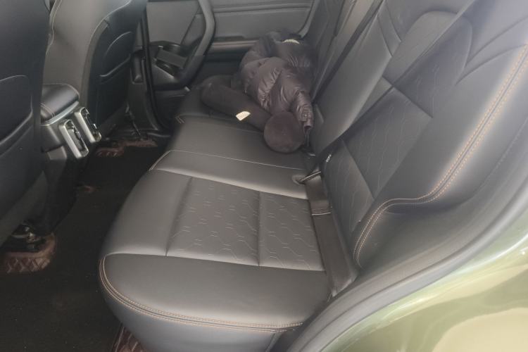 Used Haval DARGO 2021 1.5T DCT Two-Wheel Drive Border Collie - Wangcai Edition Left Rear Seat