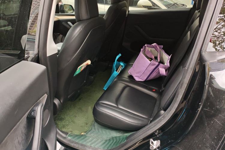 Used Tesla Model Y 2021 Standard Range Rear-Wheel Drive Version
