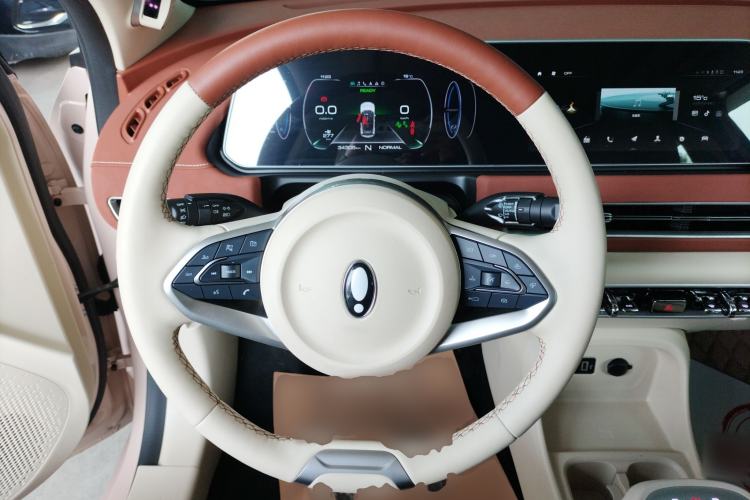 Used ORA Good Cat 2022 Morandi Edition 400km Standard Range Premium Version Lithium Iron Phosphate
