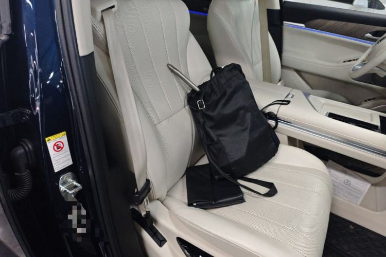 Used Wey Lanshan 2023 Two-Wheel Drive Long-Range Version