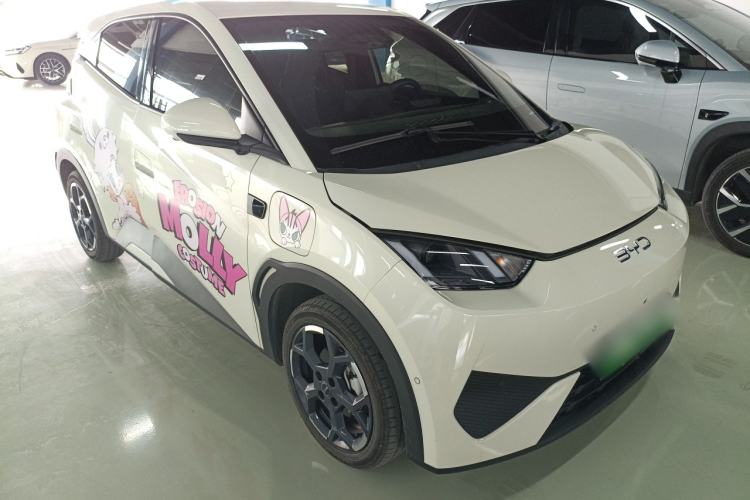 Used BYD Seagull 2025 Smart Drive Version 305 km Freedom Edition