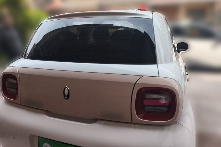 Used ORA Black Cat 2022 Updated Version 301 km Cute Pet Edition Lithium Iron Phosphate Rear