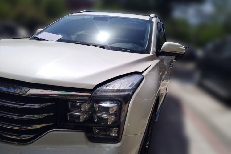 Used GAC Trumpchi GS8 2017 320T Two-Wheel Drive Luxury Edition (7 Seats)