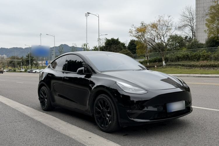 Used Tesla Model Y 2021 Standard Range Rear-Wheel Drive Version
